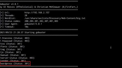 gobuster-utility-output.png